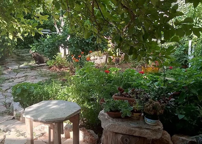 Hakimemilas
